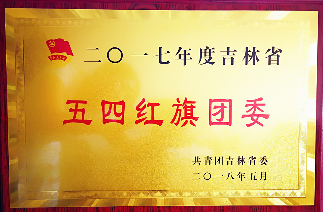 吉林省五四红旗团委