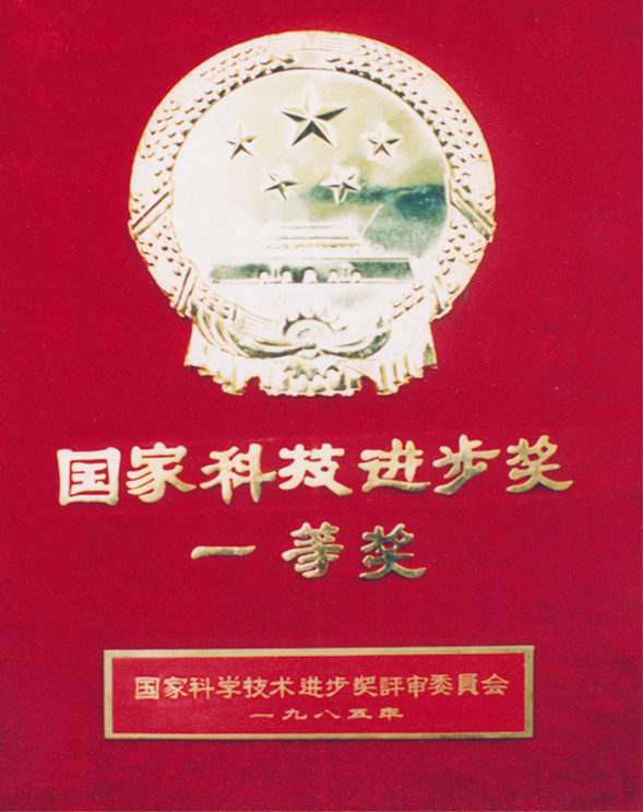 国家科技进步一等奖
